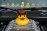 Edle Autos locken am Wochenende die Massen aufs Flugfeld.