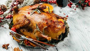 Alles über die Kosten und Qualität einer Weihnachtsgans 2025: Preise, Tierwohl und Tipps für den bewussten Kauf.