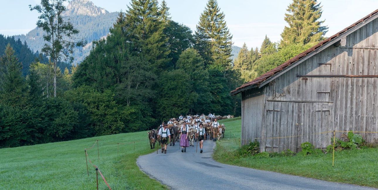 Heimwärts geht es durch Tal.