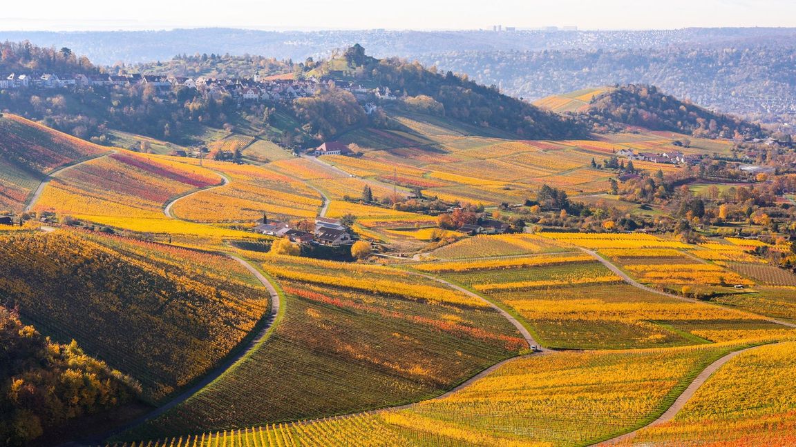 Das Wetter lädt zum Spazieren in den Weinbergen ein (Archivbild).