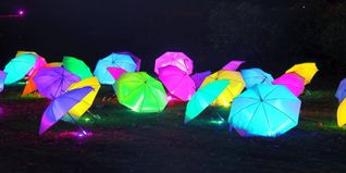 Farbenfrohe Magie im Blühenden Barock: Die „Leuchtenden Traumpfade“ tauchen den Park in ein Meer aus Licht und Fantasie.Bild: Blühendes Barock