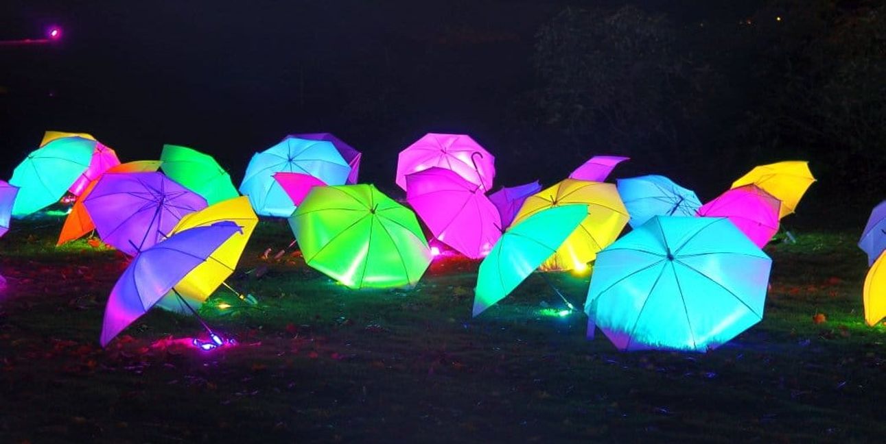 Farbenfrohe Magie im Blühenden Barock: Die „Leuchtenden Traumpfade“ tauchen den Park in ein Meer aus Licht und Fantasie.Bild: Blühendes Barock
