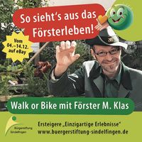 Spannende Einblicke in den Sindelfinger Wald.