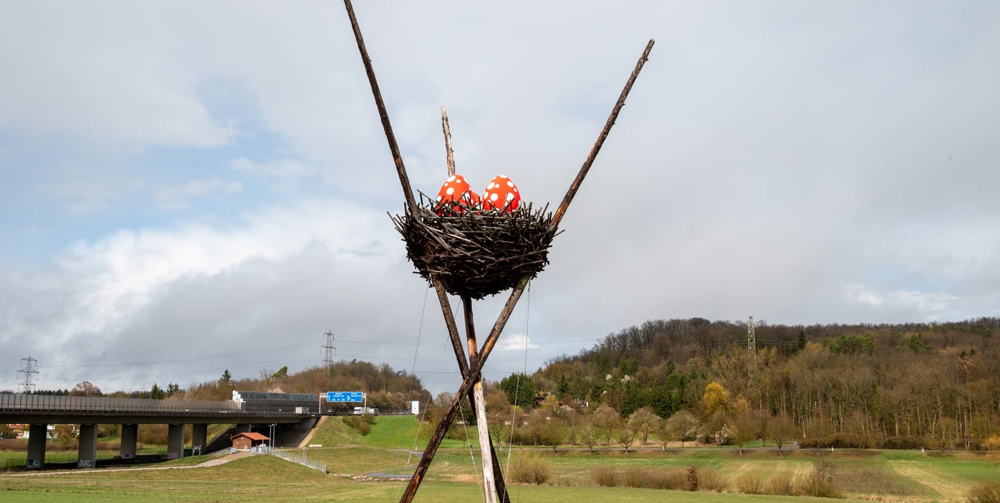 Das Vogelnest der Sculptoura ist wieder gefüllt.