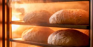 Die Bäckerei Bauer gewährt einen Einblick hinter die Kulissen.