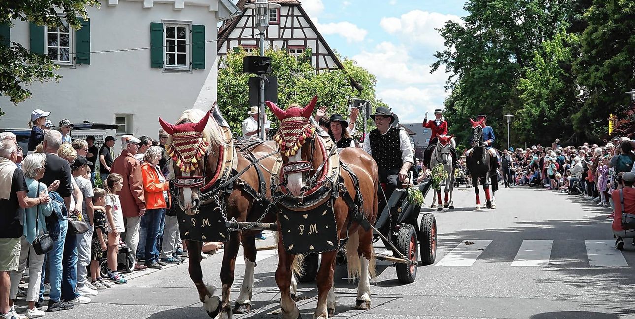Prächtige Gespanne prägten den 16. Maichinger Rosstag.