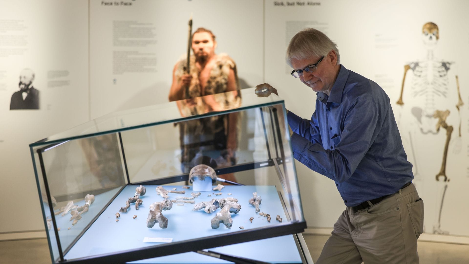 Experte Ralf W. Schmitz öffnet den Glaskasten mit dem Fossil des Original-Neandertalers.