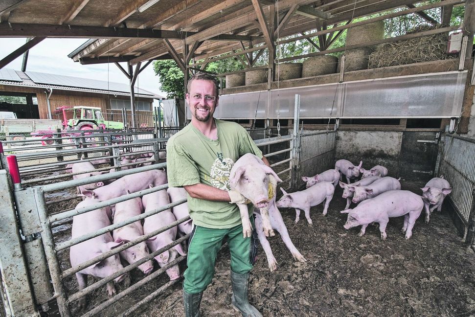 Die Schweinemast gehört für Christian Zimmermann vom Hof Lauerhalde in Renningen dazu. Am Wochenende ist hier für Besucher gläserne Produktion.  Bild: Richter