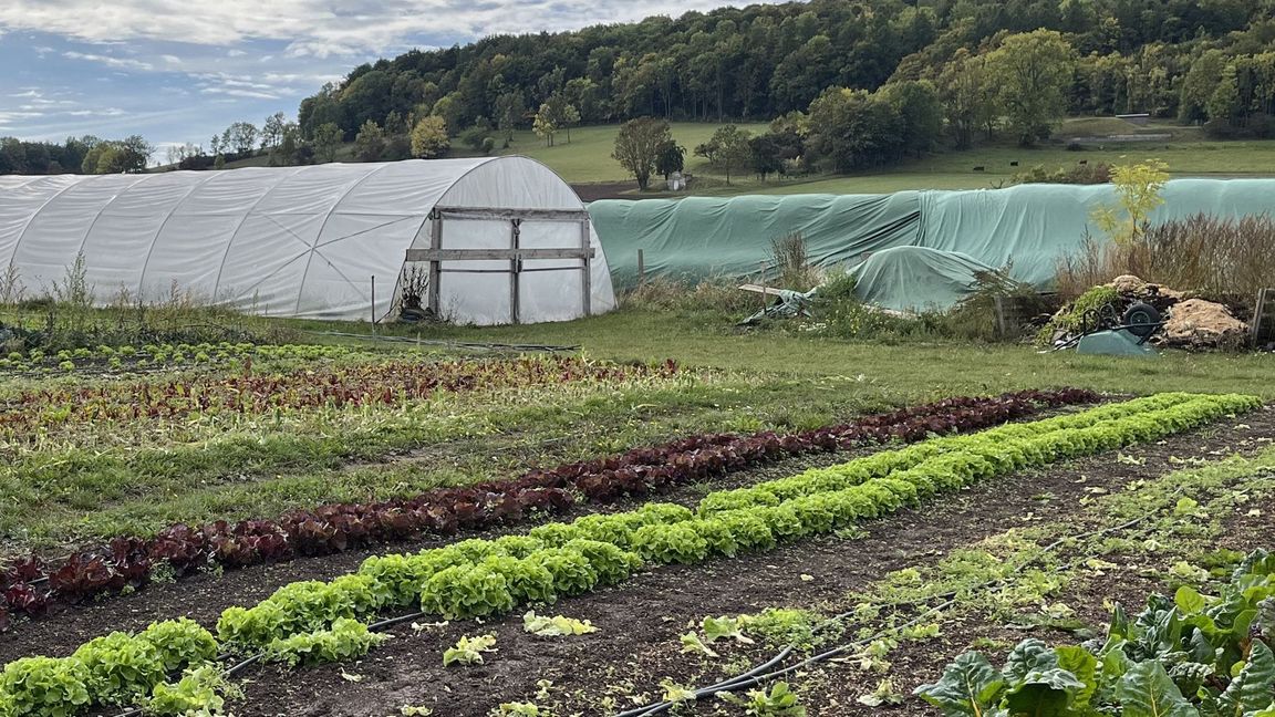 Noch wird in der deutschen Landwirtschaft nur wenig bewässert – doch der Trend ist klar: Es wird immer mehr.