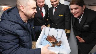 „Crush“ reist mit.