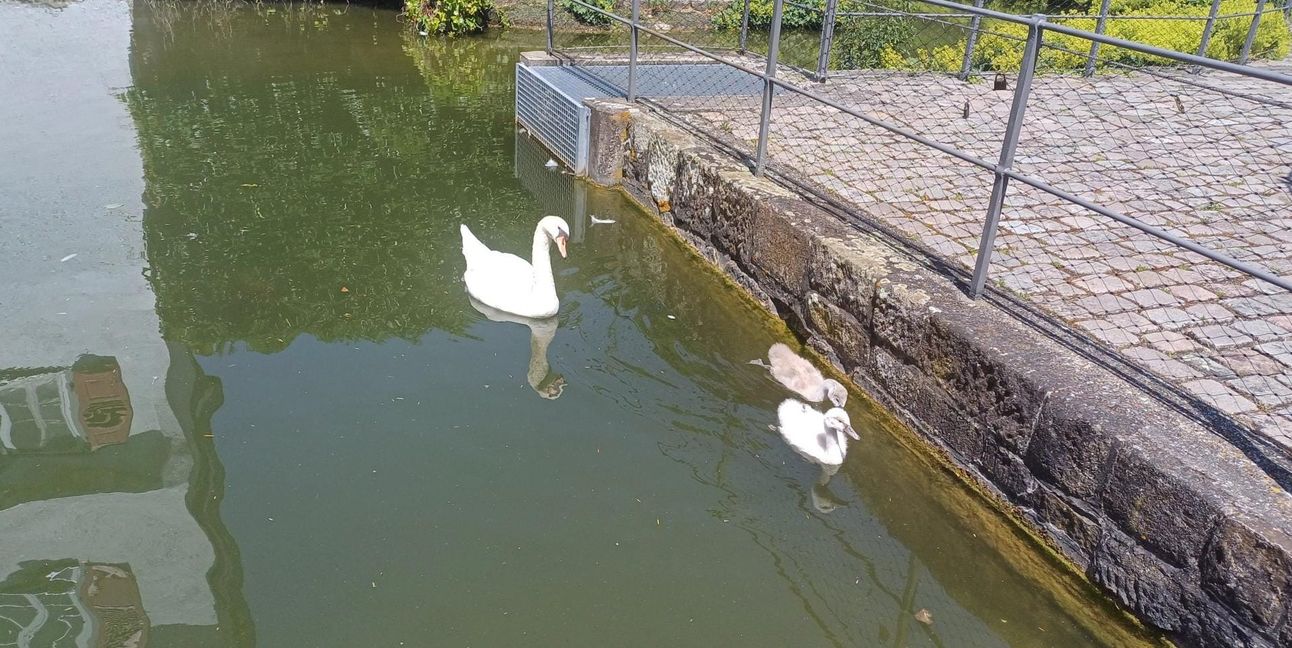 Gretel mit ihren beiden Kindern im Burggraben.