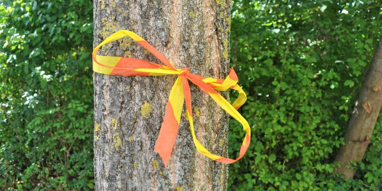 Wer eigene Bäume zur Ernte freigeben möchte, kann sich diese Bänder besorgen.