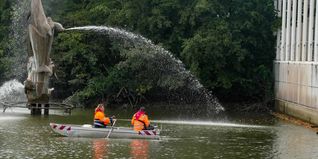 Experten bei der Arbeit.