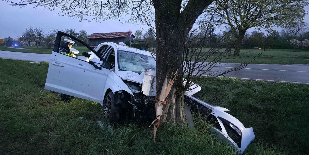Der Fahrer kam von der Straße und landete an einem Baum.
