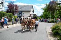 Rund 3500 Besucher wollten sich den Maichinger Rosstag nicht entgehen lassen.