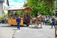 Rund 3500 Besucher wollten sich den Maichinger Rosstag nicht entgehen lassen.