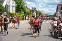 Rund 3500 Besucher wollten sich den Maichinger Rosstag nicht entgehen lassen.