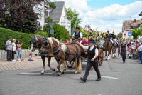 Rund 3500 Besucher wollten sich den Maichinger Rosstag nicht entgehen lassen.