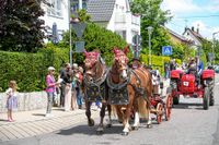 Rund 3500 Besucher wollten sich den Maichinger Rosstag nicht entgehen lassen.
