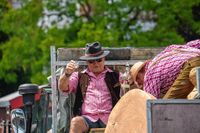 Rund 3500 Besucher wollten sich den Maichinger Rosstag nicht entgehen lassen.