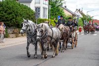 Rund 3500 Besucher wollten sich den Maichinger Rosstag nicht entgehen lassen.