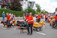 Rund 3500 Besucher wollten sich den Maichinger Rosstag nicht entgehen lassen.