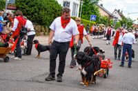 Rund 3500 Besucher wollten sich den Maichinger Rosstag nicht entgehen lassen.
