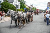 Rund 3500 Besucher wollten sich den Maichinger Rosstag nicht entgehen lassen.