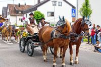Rund 3500 Besucher wollten sich den Maichinger Rosstag nicht entgehen lassen.