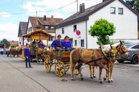 Rund 3500 Besucher wollten sich den Maichinger Rosstag nicht entgehen lassen.