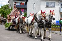 Rund 3500 Besucher wollten sich den Maichinger Rosstag nicht entgehen lassen.
