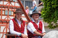 Rund 3500 Besucher wollten sich den Maichinger Rosstag nicht entgehen lassen.