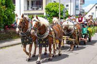 Rund 3500 Besucher wollten sich den Maichinger Rosstag nicht entgehen lassen.