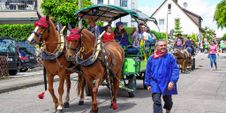 Rund 3500 Besucher wollten sich den Maichinger Rosstag nicht entgehen lassen.