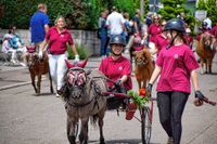 Rund 3500 Besucher wollten sich den Maichinger Rosstag nicht entgehen lassen.