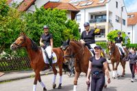 Rund 3500 Besucher wollten sich den Maichinger Rosstag nicht entgehen lassen.