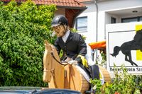 Rund 3500 Besucher wollten sich den Maichinger Rosstag nicht entgehen lassen.