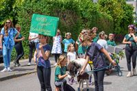 Rund 3500 Besucher wollten sich den Maichinger Rosstag nicht entgehen lassen.