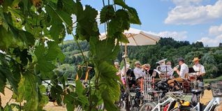 Musik und Bier im Weil der Städter Hopfengarten.