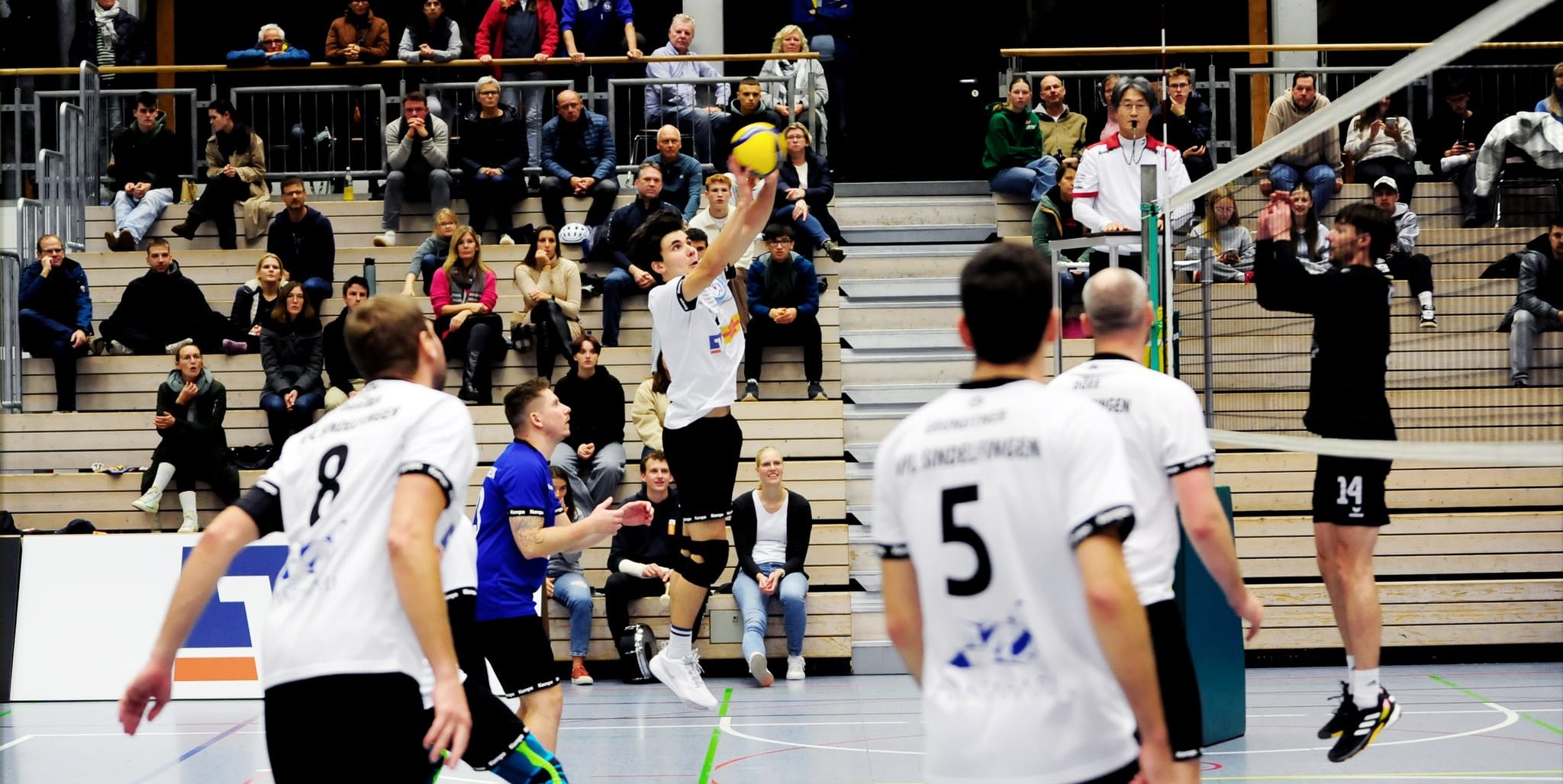 Nick Höschke (am Ball) und der  VfL Sindelfingen kämpfen  ohne Lohn.Bild: photostampe