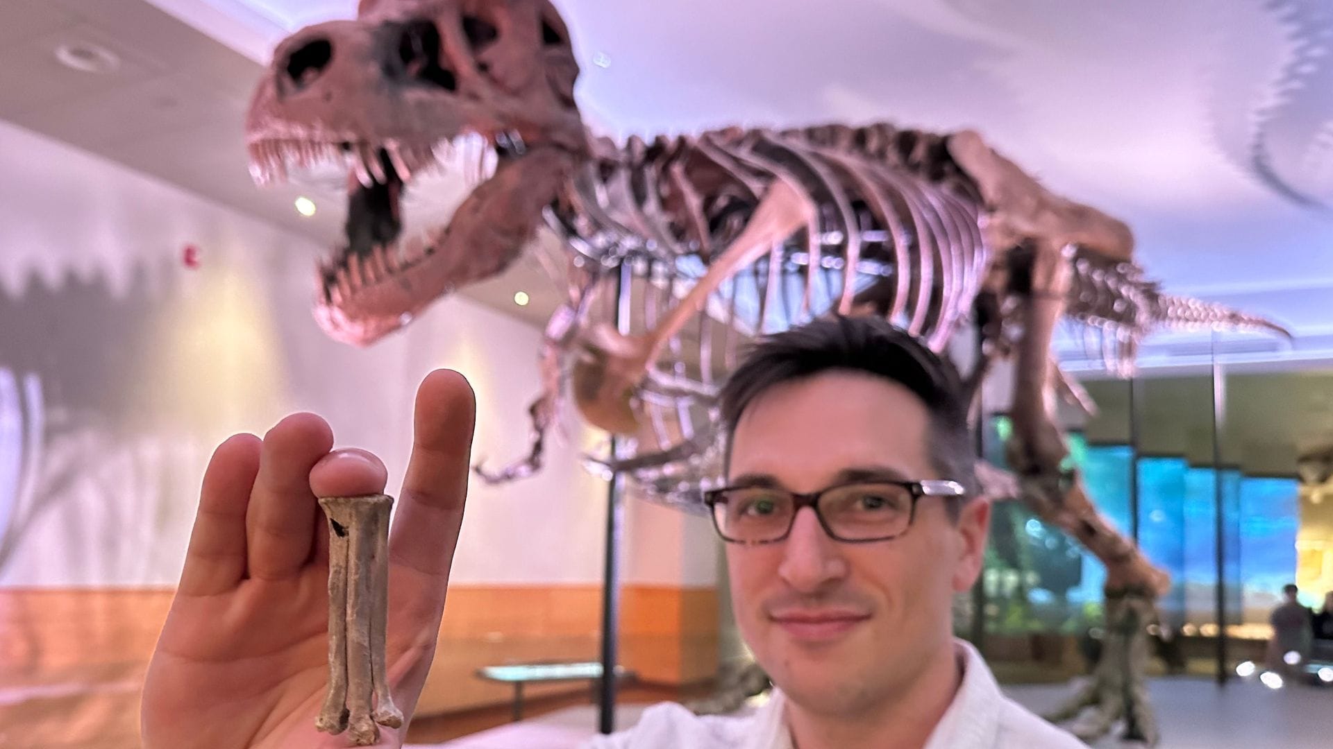 Der Wissenschaftler Alex Clark zeigt den fossilen Fußknochen von Avisaurus darwini.