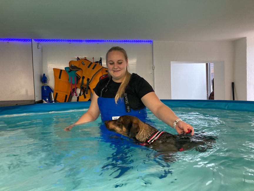 Annkathrin Nagel macht mit den Hunden auch eine Schwimmtherapie.   Bild: Greck