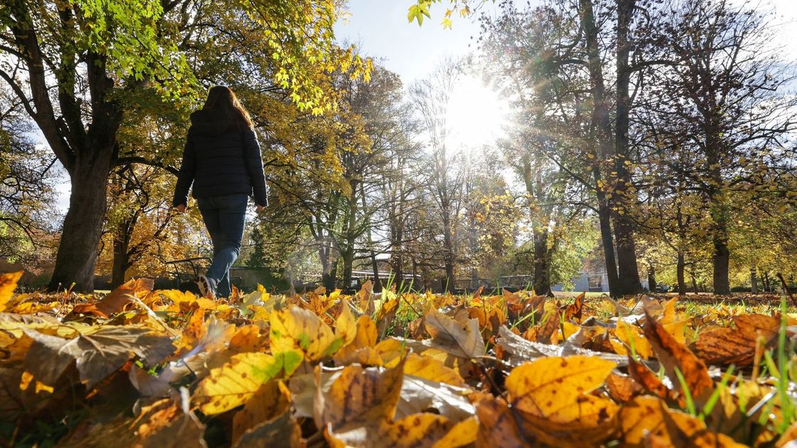 Zeitweise soll sich auch die Sonne zeigen (Symbolbild).