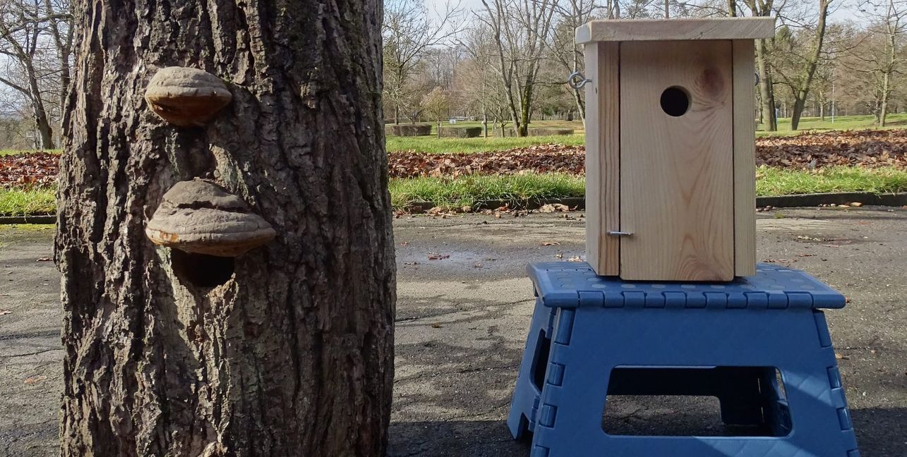 So kann ein schickes Heim für Vögel aussehen. Das können Sindelfinger Familien  am Freitag selber basteln.