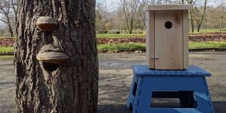 So kann ein schickes Heim für Vögel aussehen. Das können Sindelfinger Familien  am Freitag selber basteln.