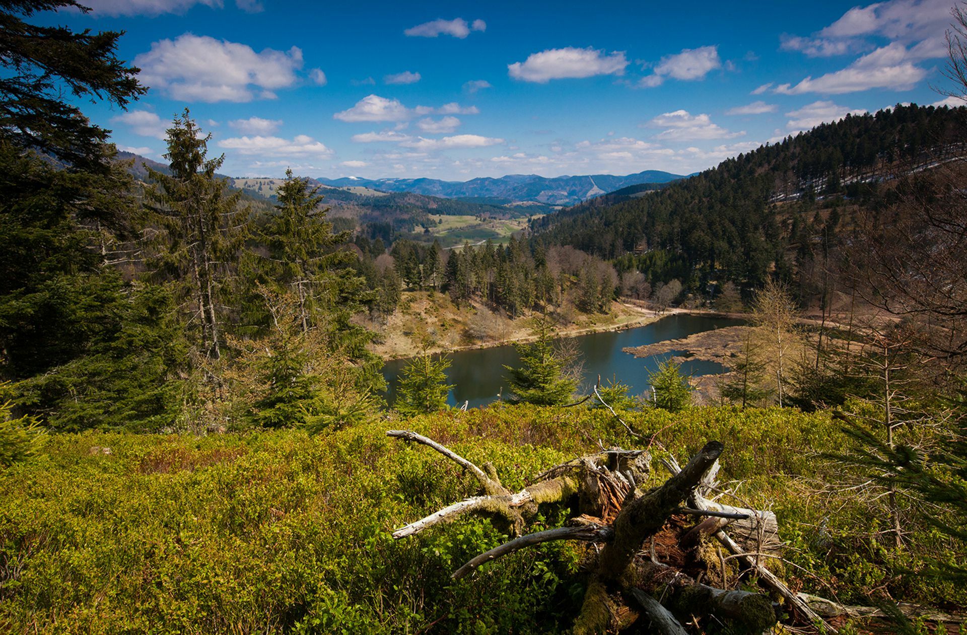 In der Schwarzwaldgemeinde Böllen, hier der nahe Nonnenmattweiher, wird laut Vorausrechnung des Statistischen Landesamts 2035 seit Jahren kein Kind zur Welt gekommen sein.
 Foto: Emmler