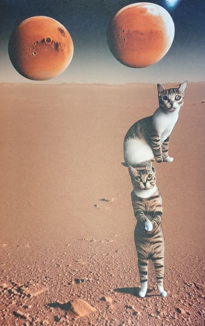 Was uns dieses Bild sagen will? Thor Zimmermann schreibt dazu: „Eines Tages, als die gesamte Menschheit noch schlief, schalteten die Katzen alle Telefone auf der ganzen Welt aus, während sie noch auf der Erde waren, und dann flogen sie zum Mars.“      Bild: z