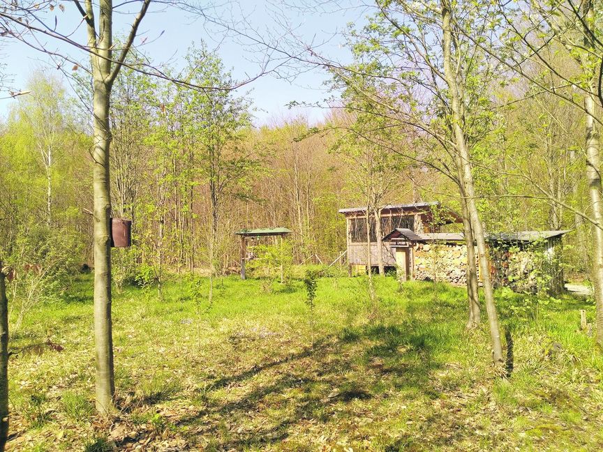 Am Vogelbeobachtungshäuschen im Sindelfinger Stadtwald liegt über das ganze Jahr Futter für die Vögel aus. Bild: Ngo