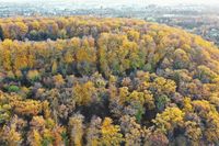 Sindelfingen