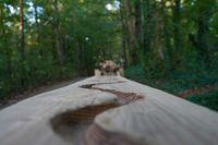 Holzgerlingen
